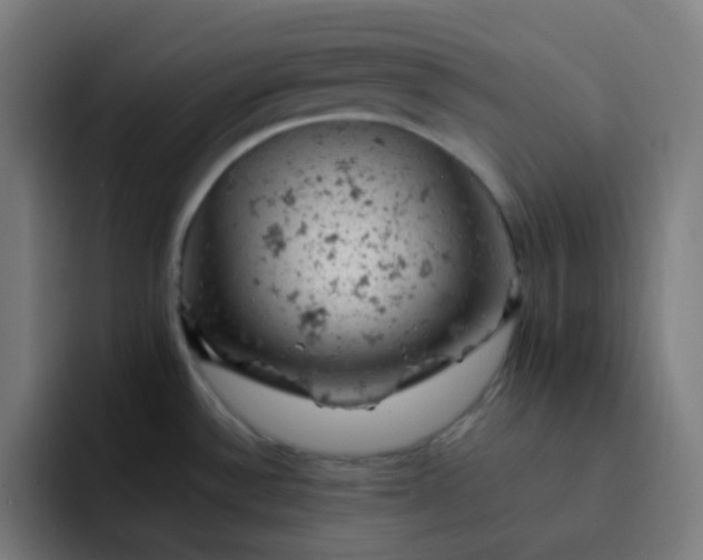 X0000093171532200710101203