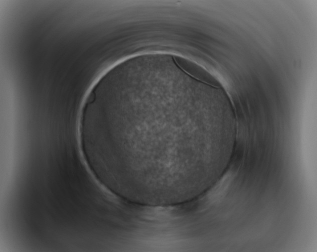 X0000093171533200710101203