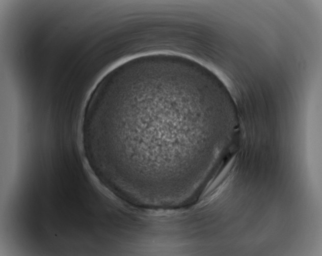 X0000093171534200710101203