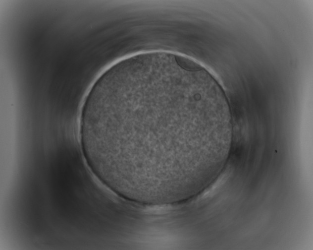 X0000093171535200710101203