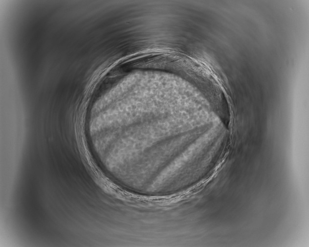 X0000093170001200710171236