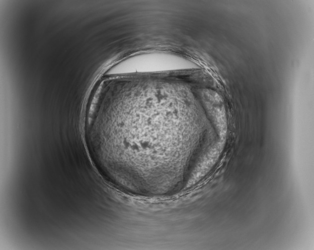 X0000093170003200710171236