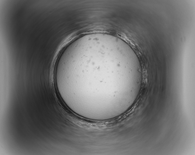 X0000093170004200710171236