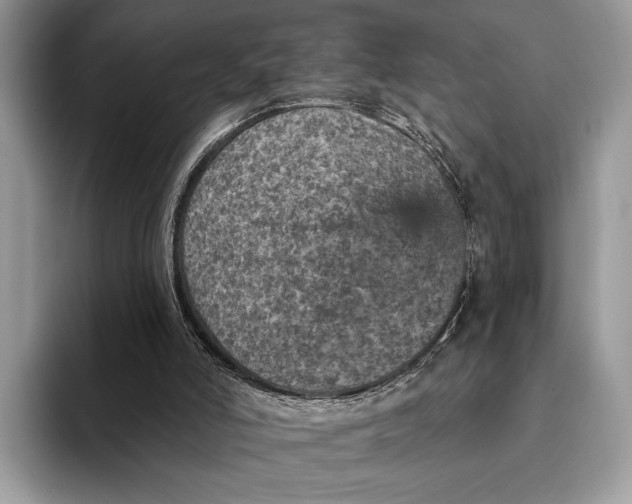 X0000093170006200710171236