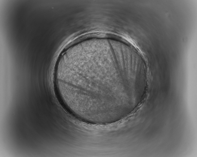 X0000093170007200710171236