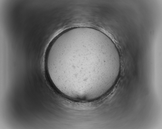 X0000093170008200710171236