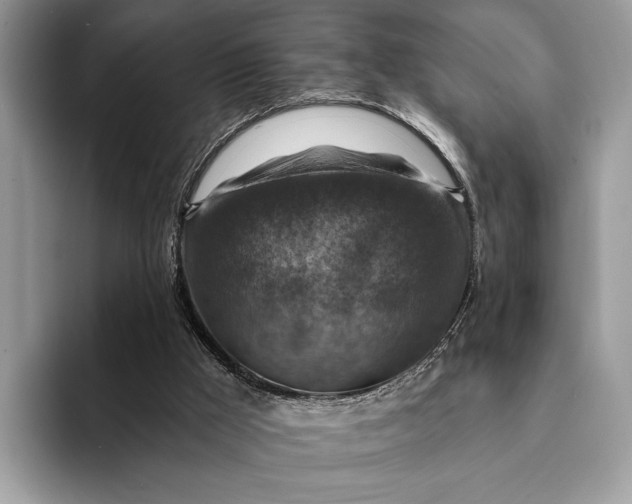 X0000093170009200710171236