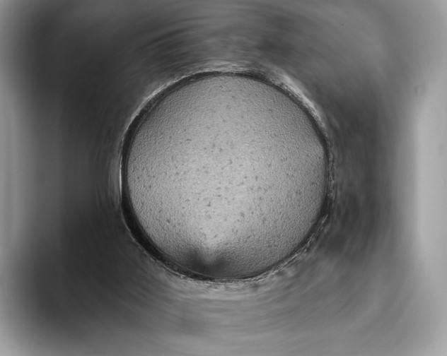 X0000093170011200710171236