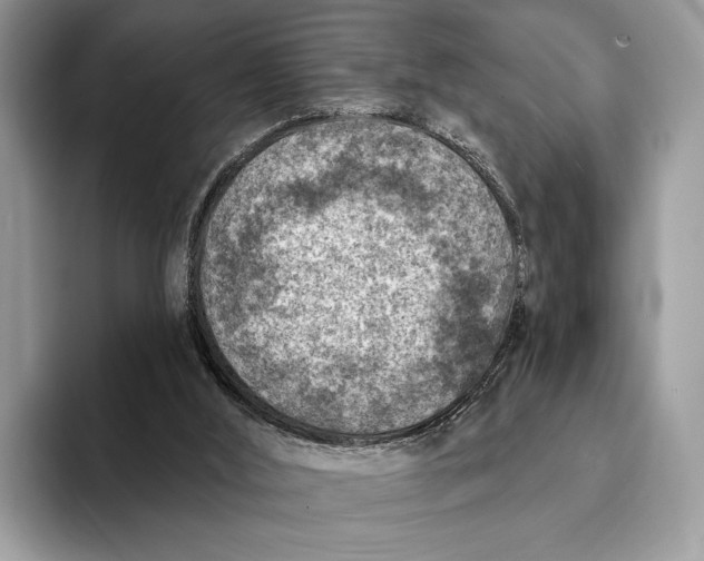 X0000093170012200710171236