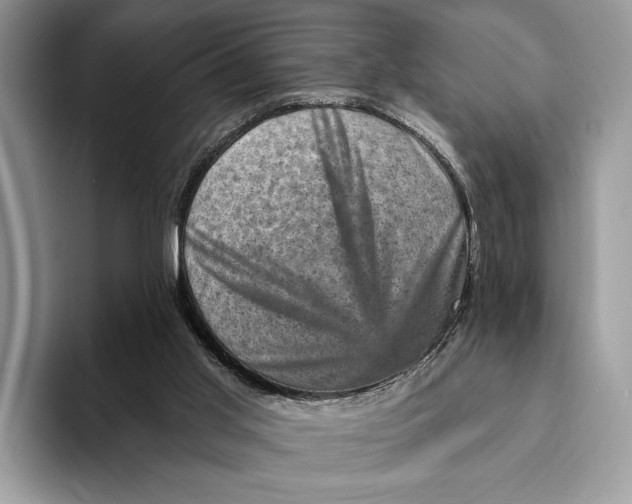 X0000093170013200710171236