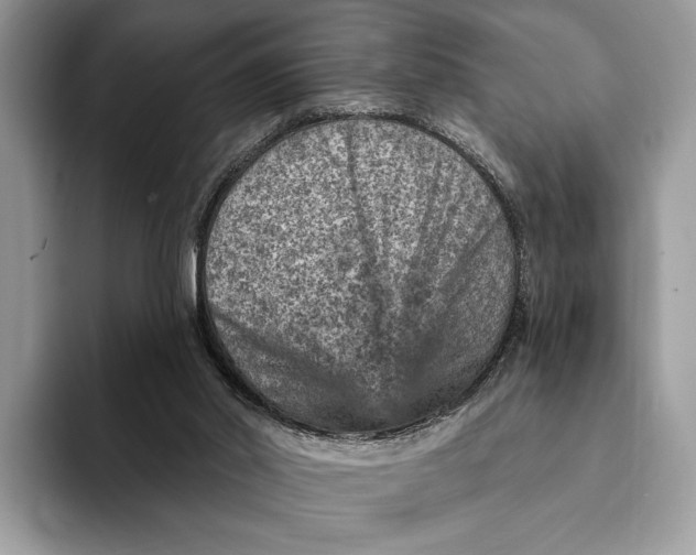 X0000093170014200710171236