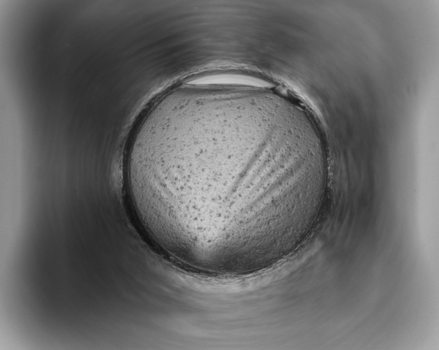 X0000093170015200710171236