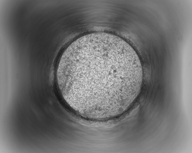 X0000093170016200710171236