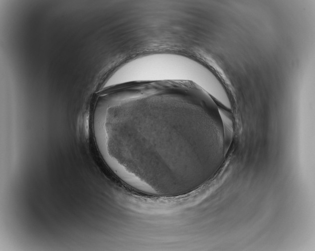 X0000093170019200710171236