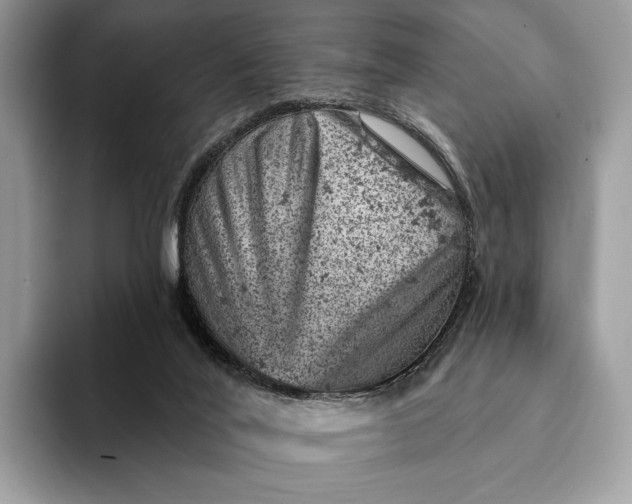 X0000093170020200710171236