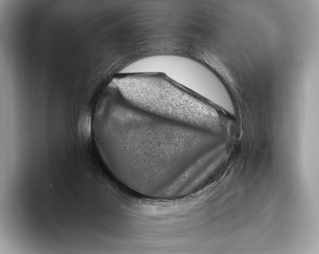 X0000093170021200710171236