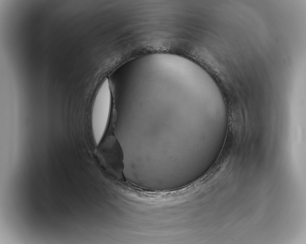 X0000093170023200710171236