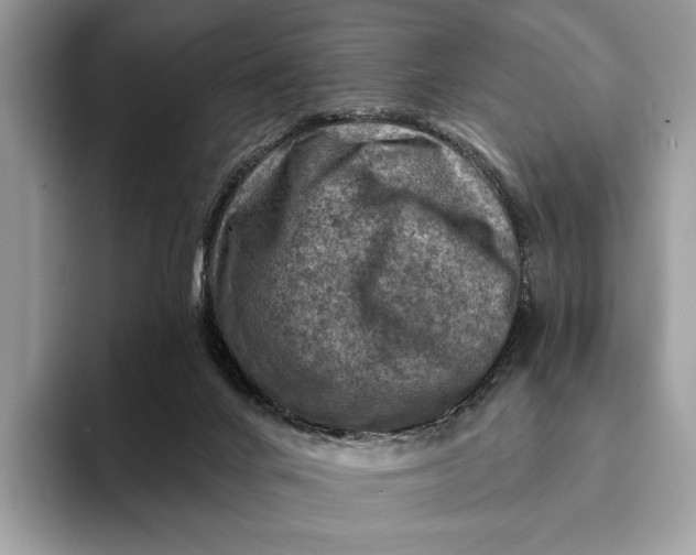 X0000093170024200710171236