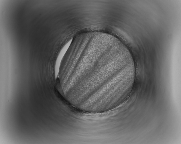 X0000093170025200710171236