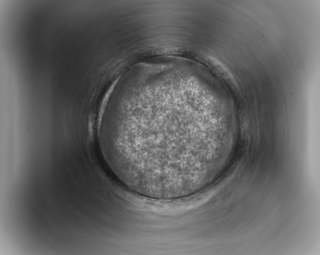 X0000093170026200710171236