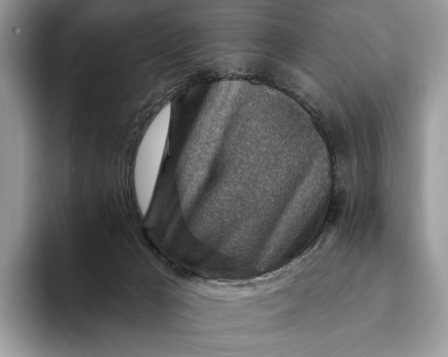 X0000093170029200710171236