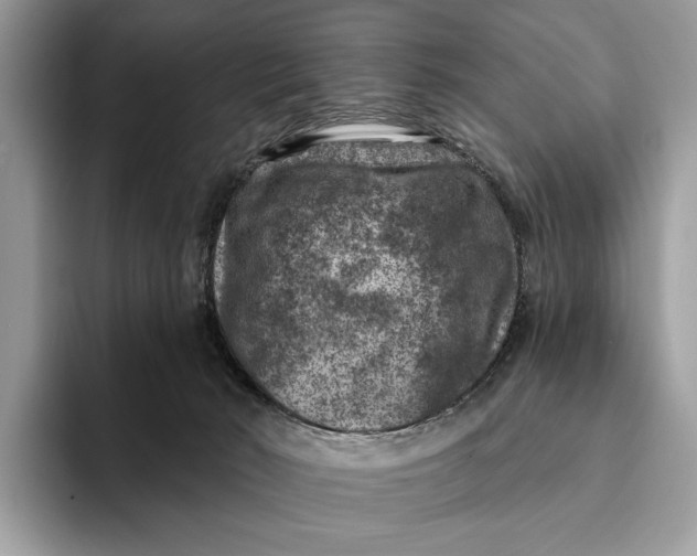 X0000093170030200710171236