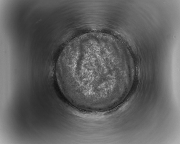 X0000093170032200710171236