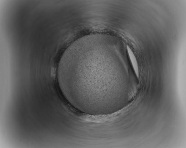 X0000093170033200710171236