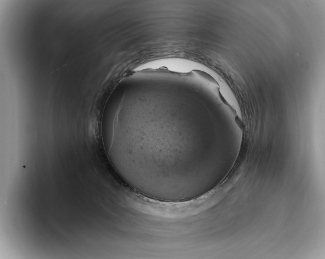 X0000093170035200710171236