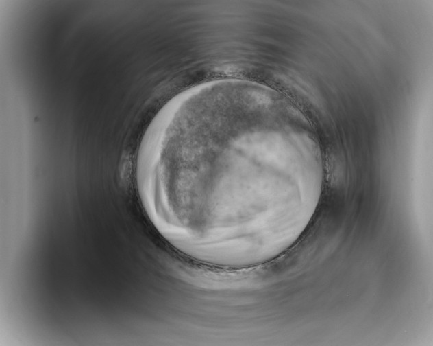 X0000093170036200710171236