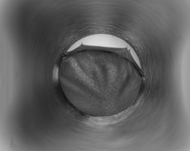 X0000093170041200710171236