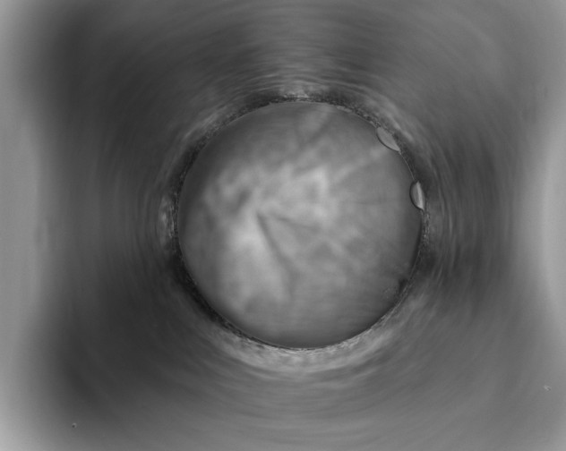 X0000093170043200710171236