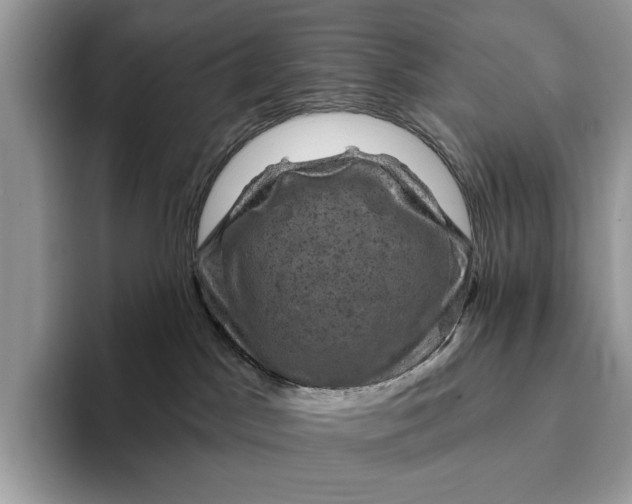 X0000093170045200710171236