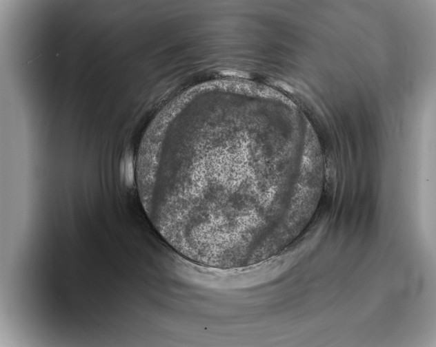 X0000093170046200710171236