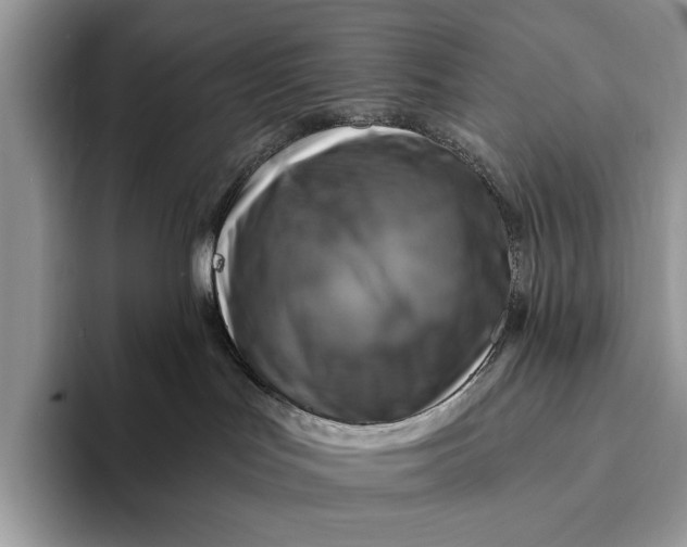 X0000093170047200710171236