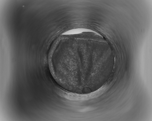 X0000093170048200710171236