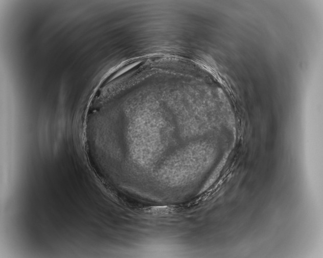 X0000093170050200710171235