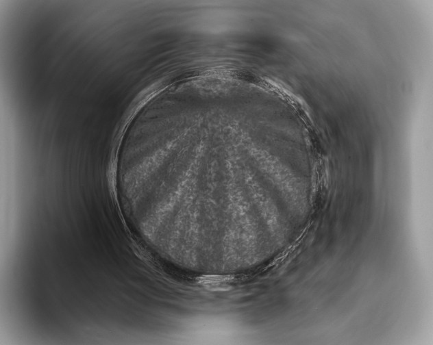 X0000093170051200710171235