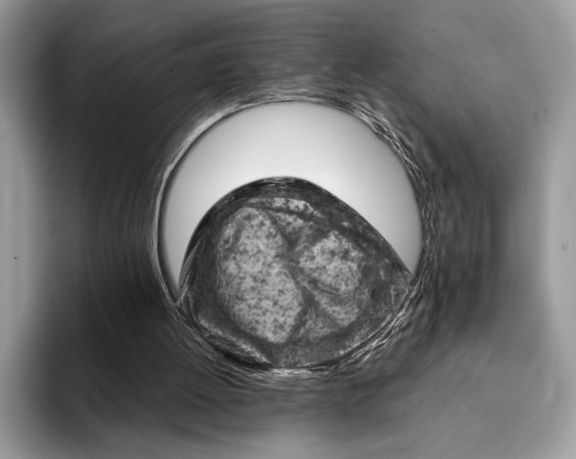 X0000093170052200710171235