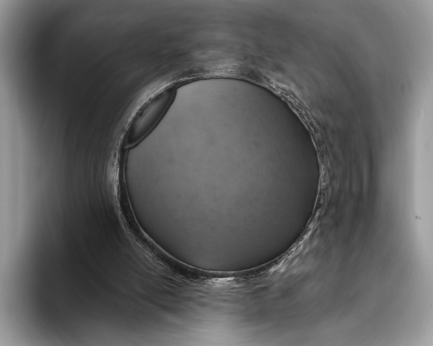 X0000093170054200710171235