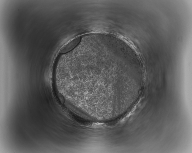 X0000093170055200710171235