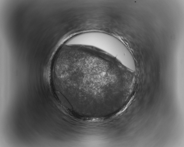 X0000093170056200710171235