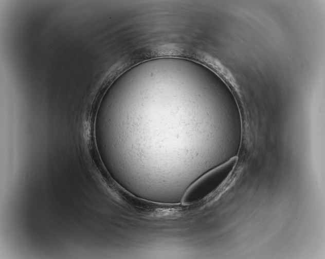 X0000093170057200710171235