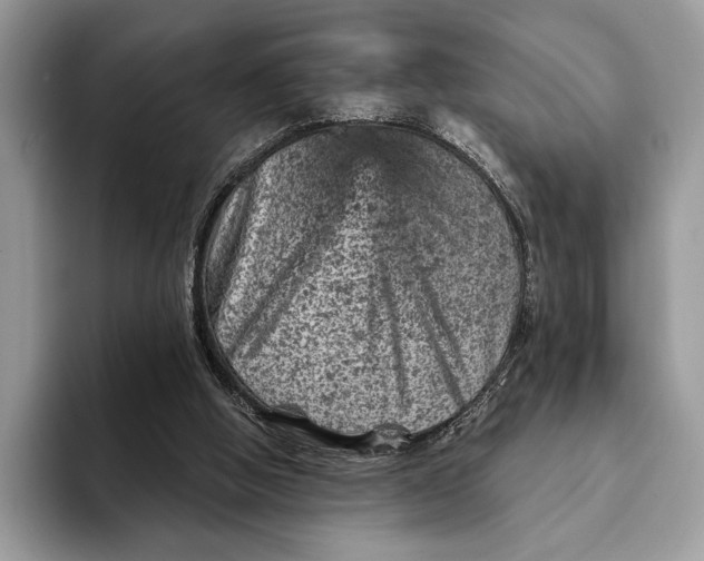 X0000093170058200710171235