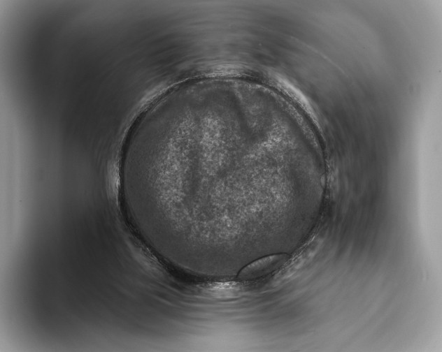 X0000093170059200710171235