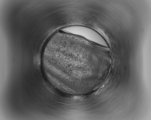 X0000093170060200710171235