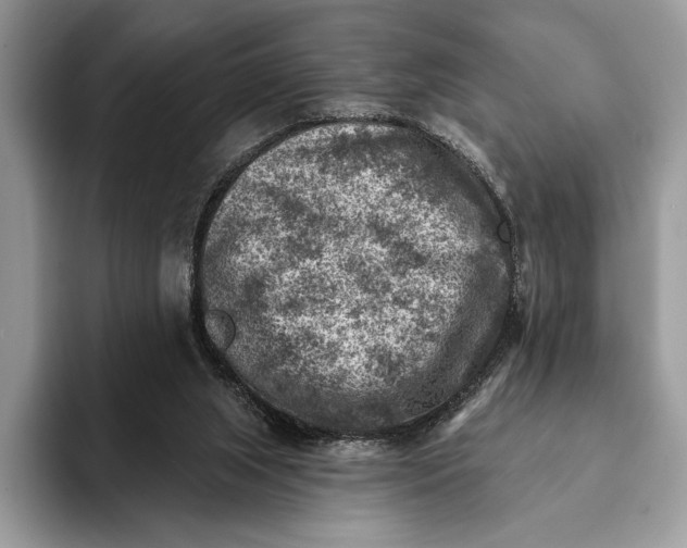 X0000093170063200710171235