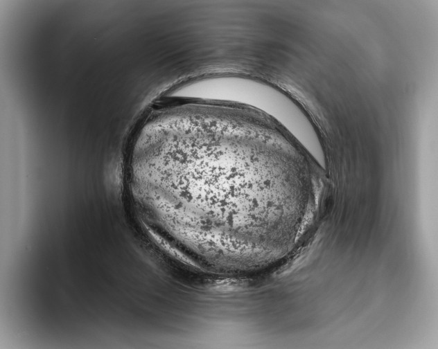 X0000093170064200710171235