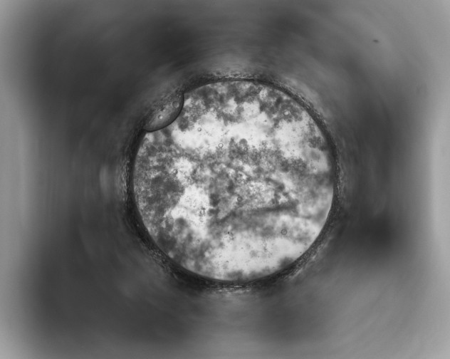 X0000093170065200710171235