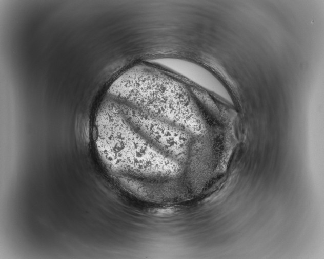 X0000093170068200710171235